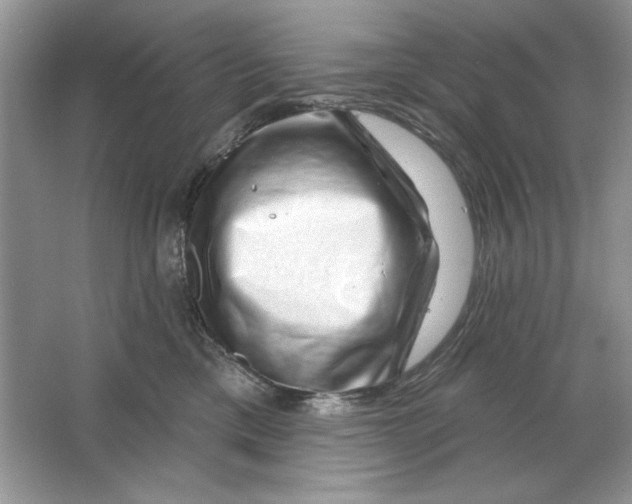 X0000064760425200603031804