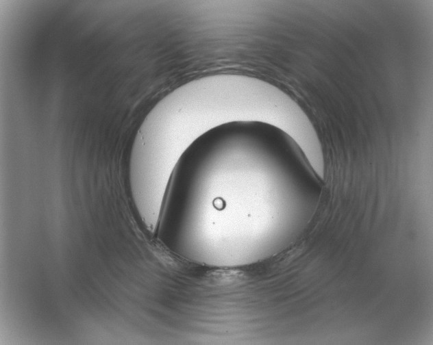 X0000064760427200603031804