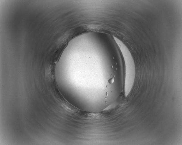 X0000064760428200603031804