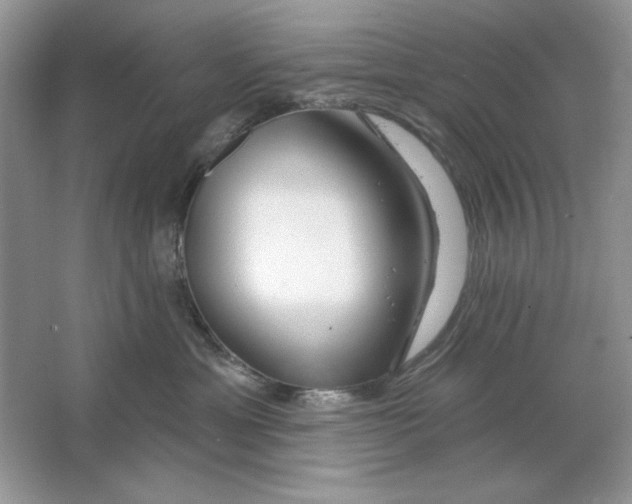 X0000064760429200603031804