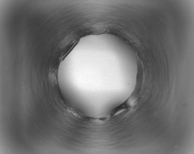 X0000064760432200603031804