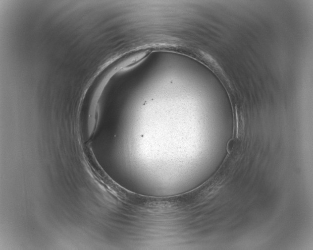 X0000064760435200603031803