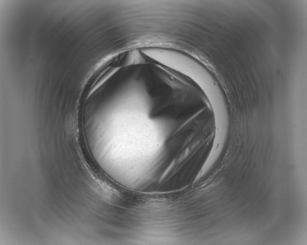 X0000064760438200603031803