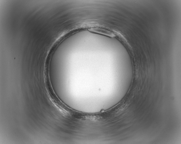 X0000064760439200603031803