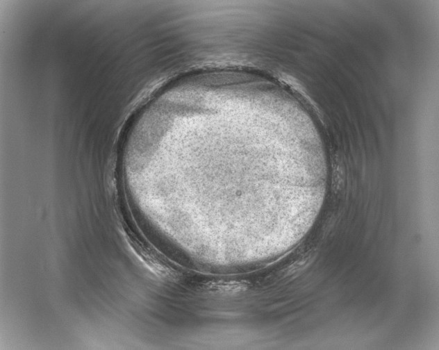 X0000064760443200603031803