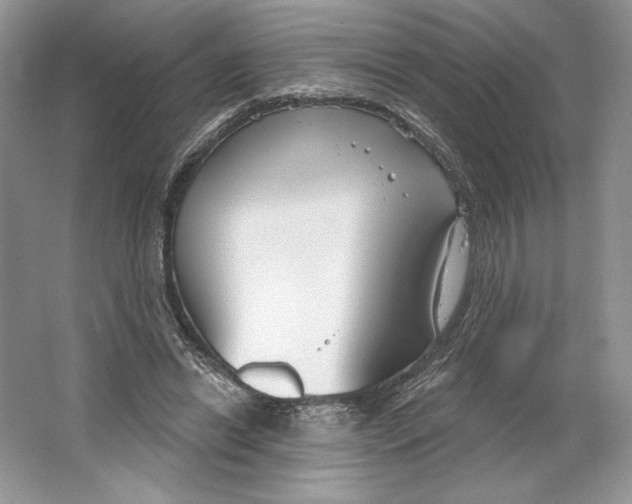 X0000064760446200603031803