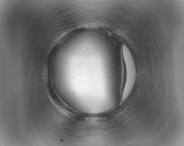 X0000064760448200603031803