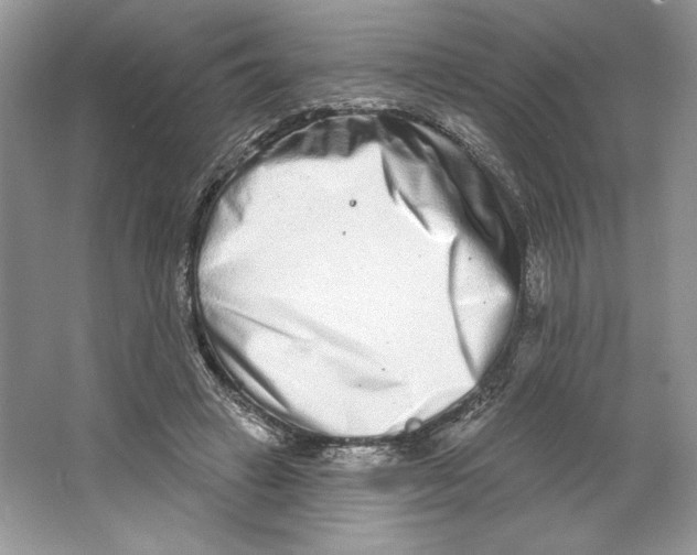 X0000064760449200603031803