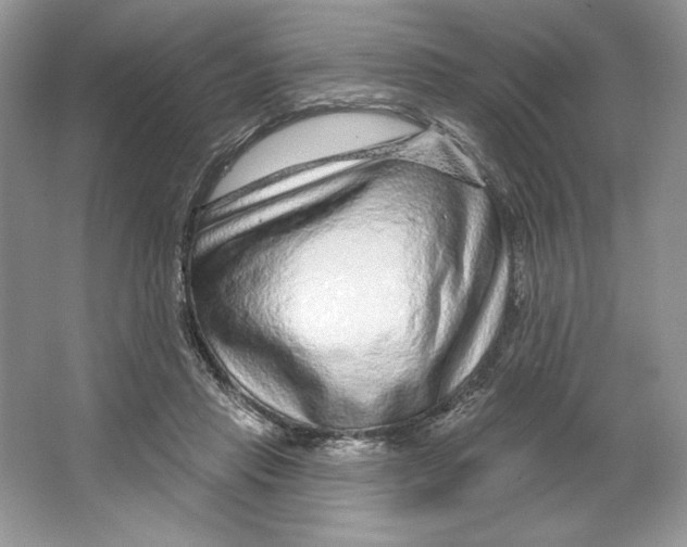 X0000064760453200603031803