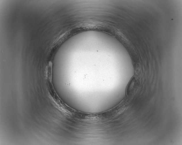 X0000064760454200603031803