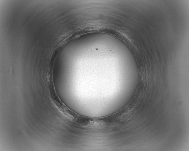 X0000064760455200603031804