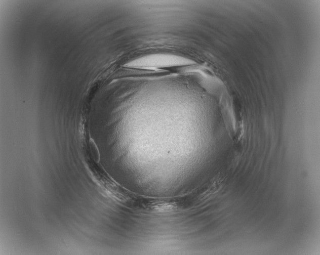X0000064760456200603031804