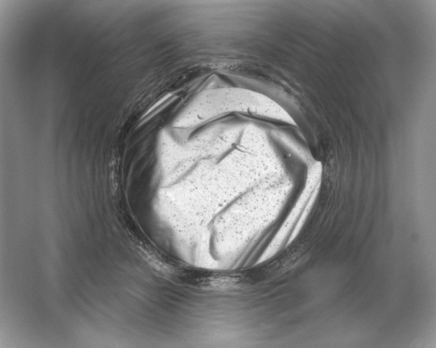 X0000064760462200603031804
