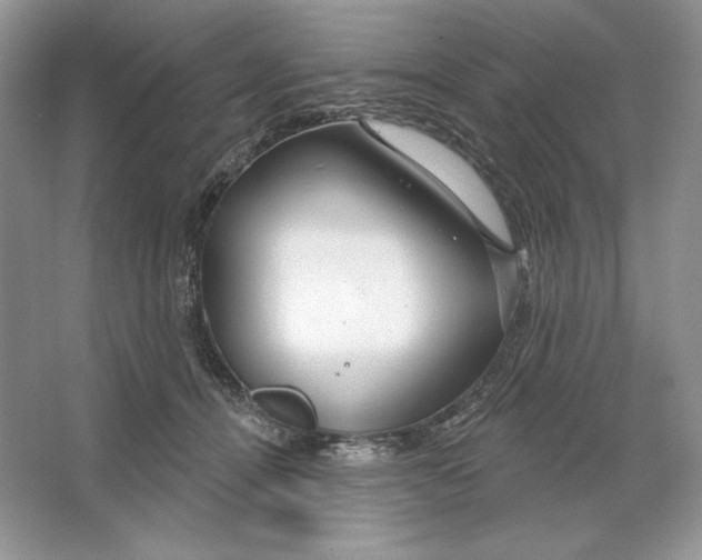 X0000064760464200603031804
