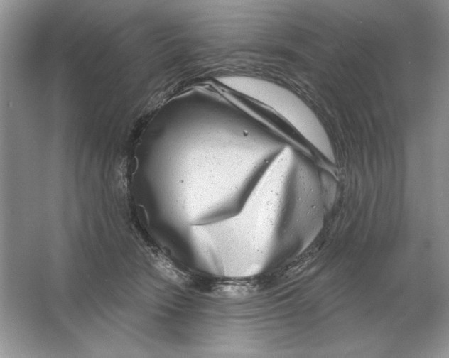 X0000064760466200603031804