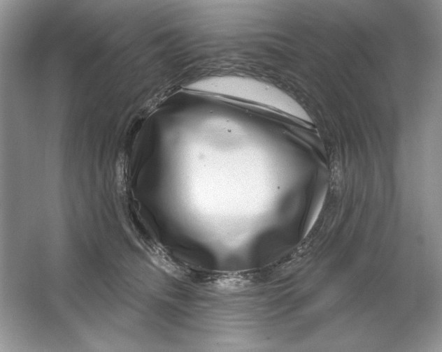 X0000064760468200603031804