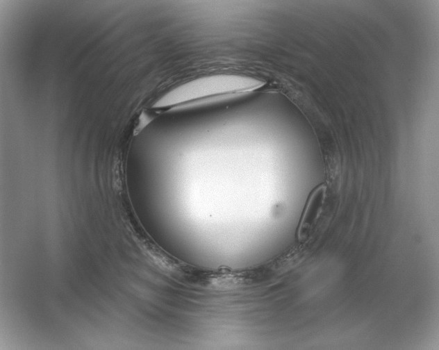 X0000064760470200603031804