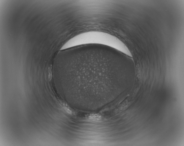 X0000064760471200603031804