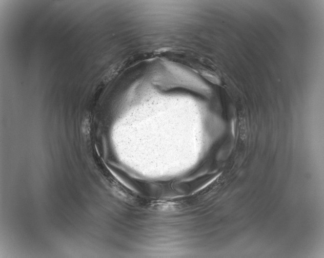 X0000064760472200603031804