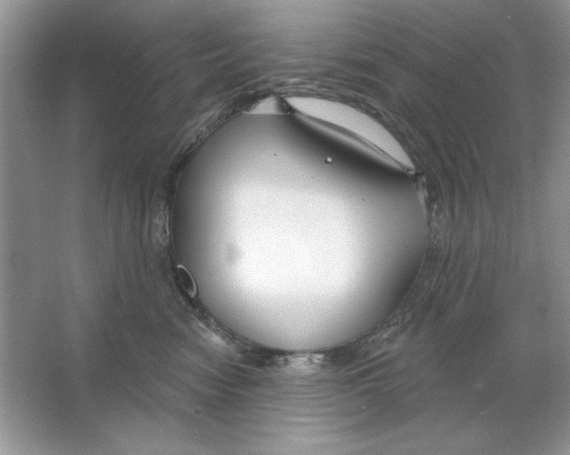 X0000064760474200603031804