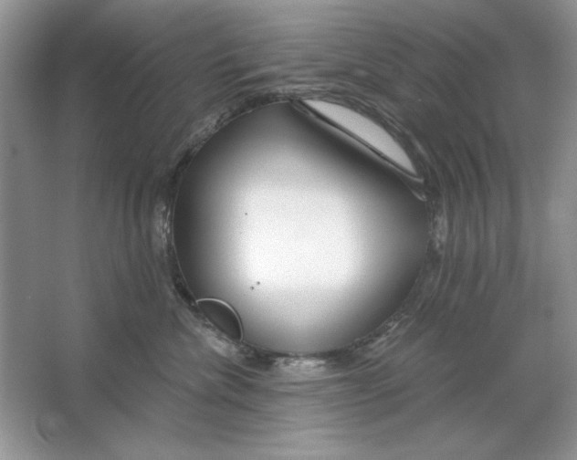 X0000064760476200603031804