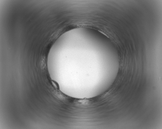 X0000064760478200603031804