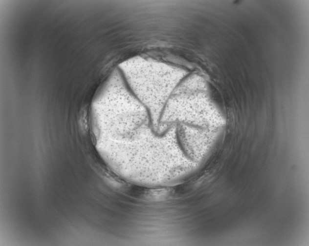 X0000064760479200603031804