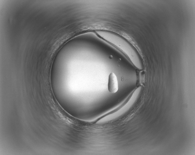 X0000064760481200603031803