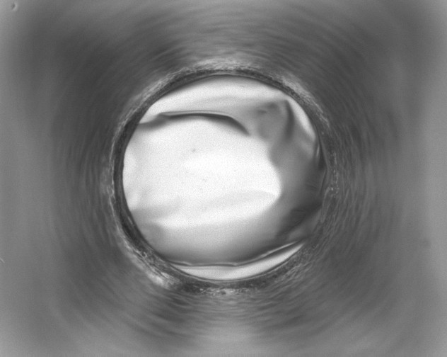 X0000064760486200603031803
