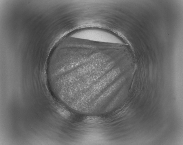 X0000064760487200603031803