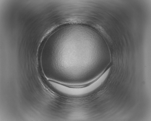 X0000064760488200603031803