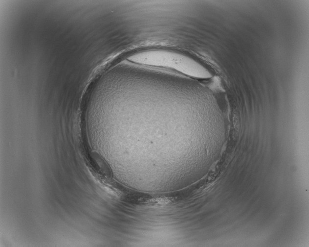X0000064760492200603031803