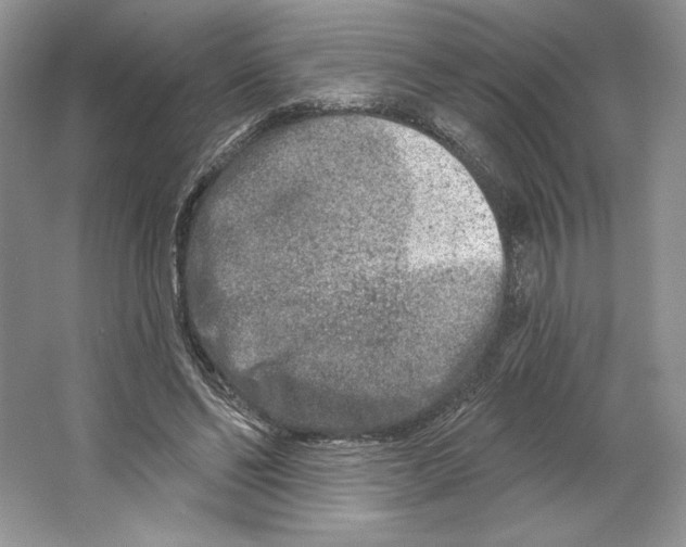 X0000064760494200603031803