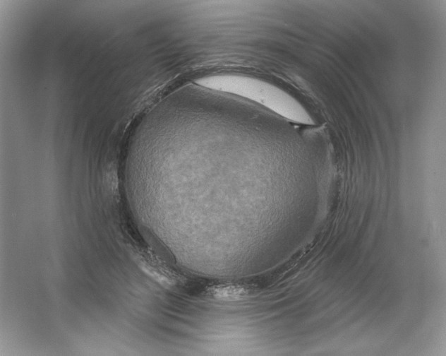 X0000064760500200603031803