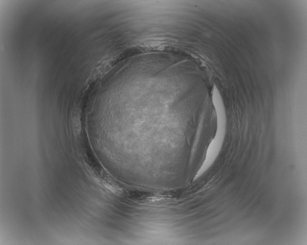 X0000064760504200603031803