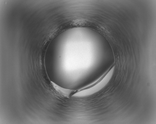 X0000064760508200603031803