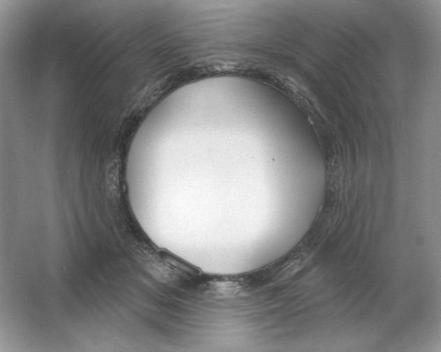 X0000064760509200603031803