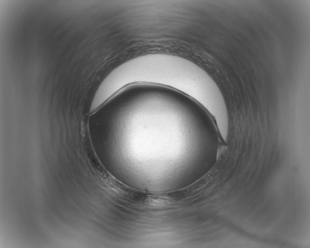 X0000064760510200603031803