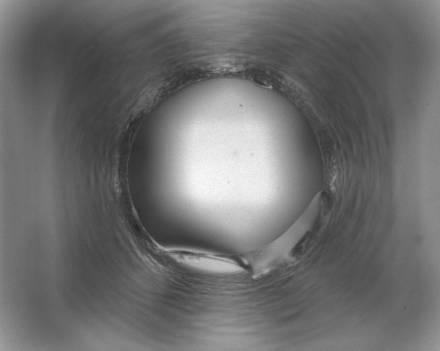 X0000064760512200603031803