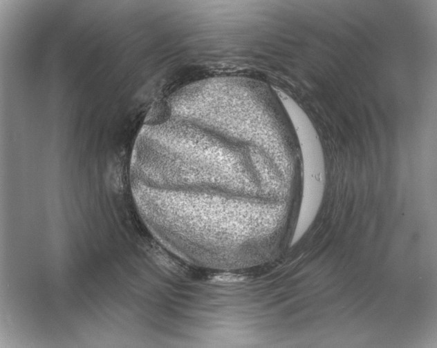 X0000064760515200603031803