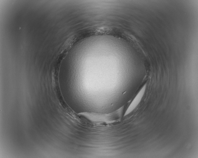 X0000064760520200603031802