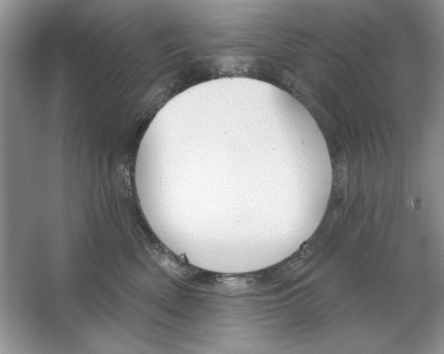 X0000064760522200603031802