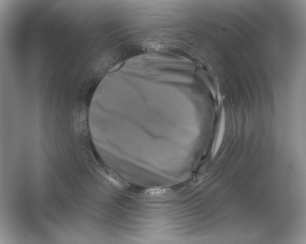 X0000064760526200603031802
