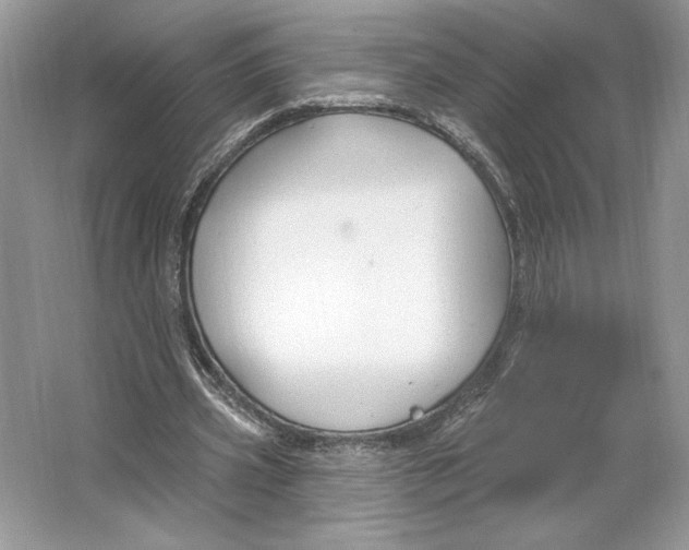 X0000064760533200603031802
