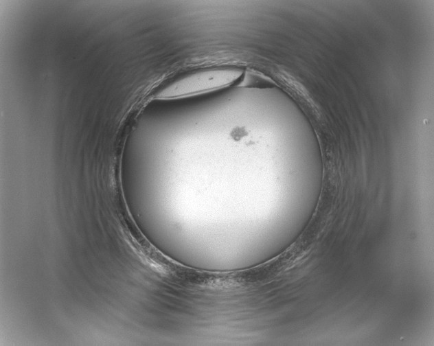 X0000064760537200603031802