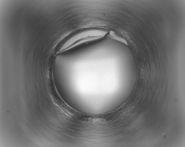 X0000064760539200603031802