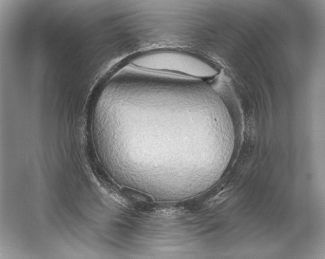 X0000064760540200603031802
