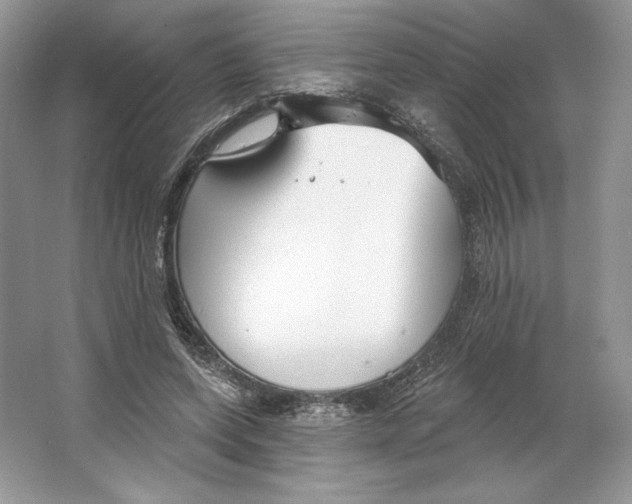 X0000064760543200603031802