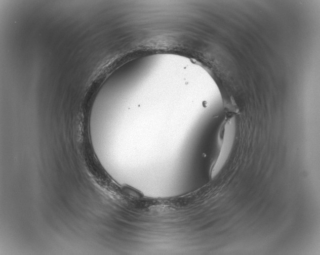 X0000064760544200603031802