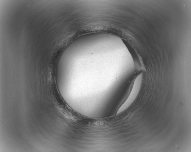 X0000064760546200603031802